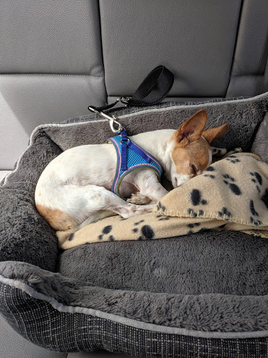 Pet Supply Store «PetSmart», reviews and photos, 315 Gellert Blvd, Daly City, CA 94015, USA