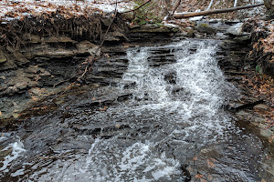 Babb Run Bird and Wildlife Sanctuary