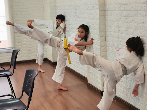 Escuela de Karate Kyokukaikan Byakko Dojo