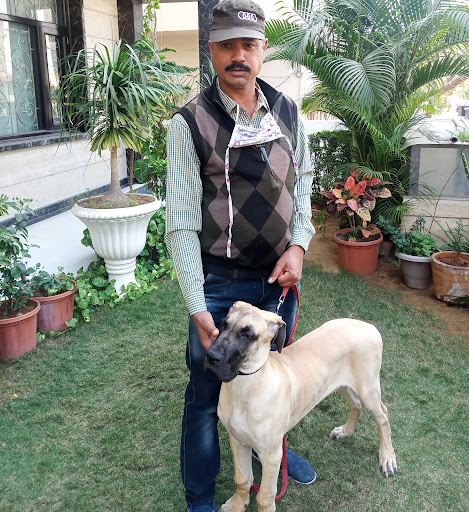 Dog trainer Mukesh Sharma