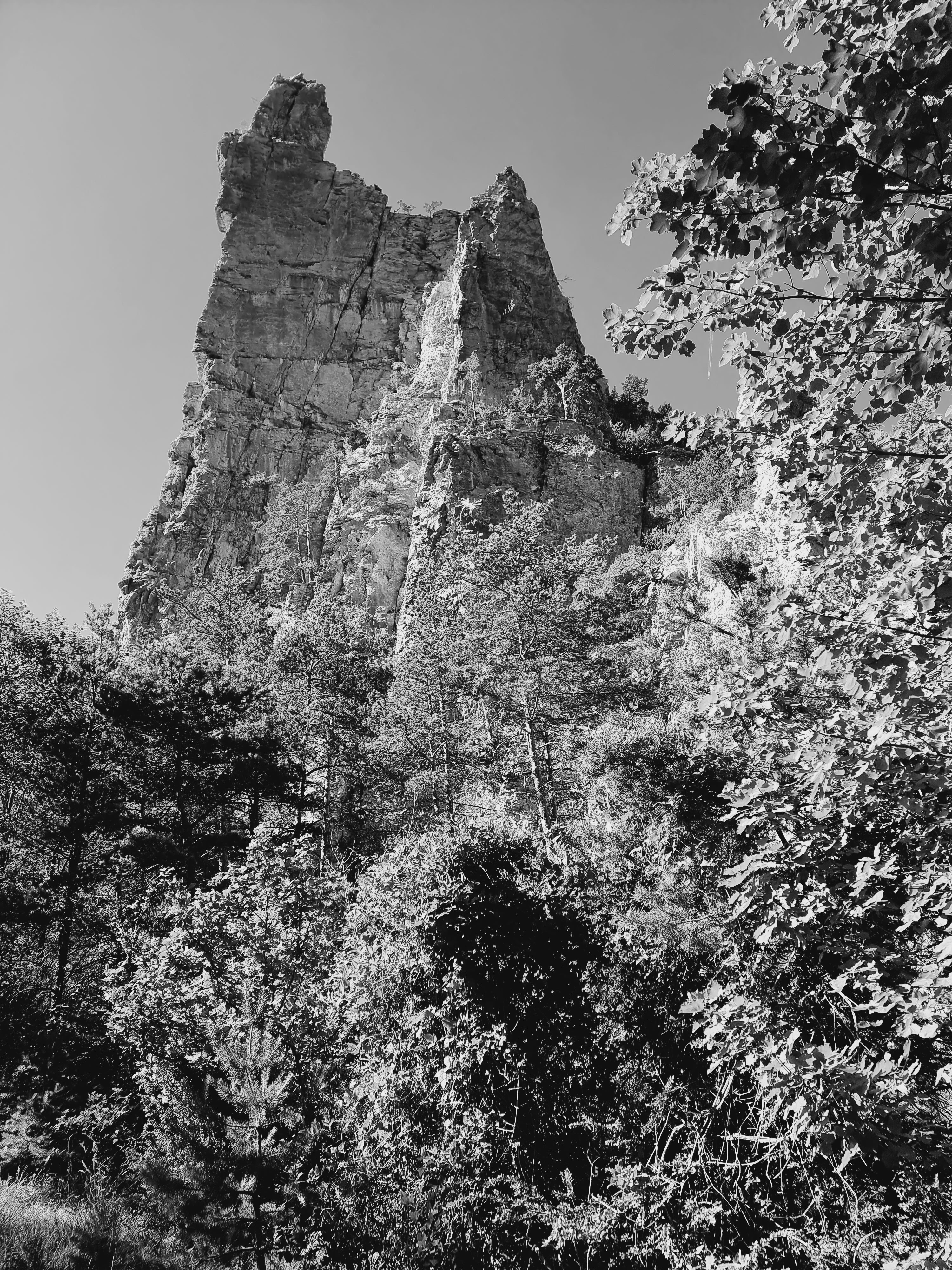 Photo n° 36 de l'avis de Viktória.i fait le 16/07/2022 à 13:58