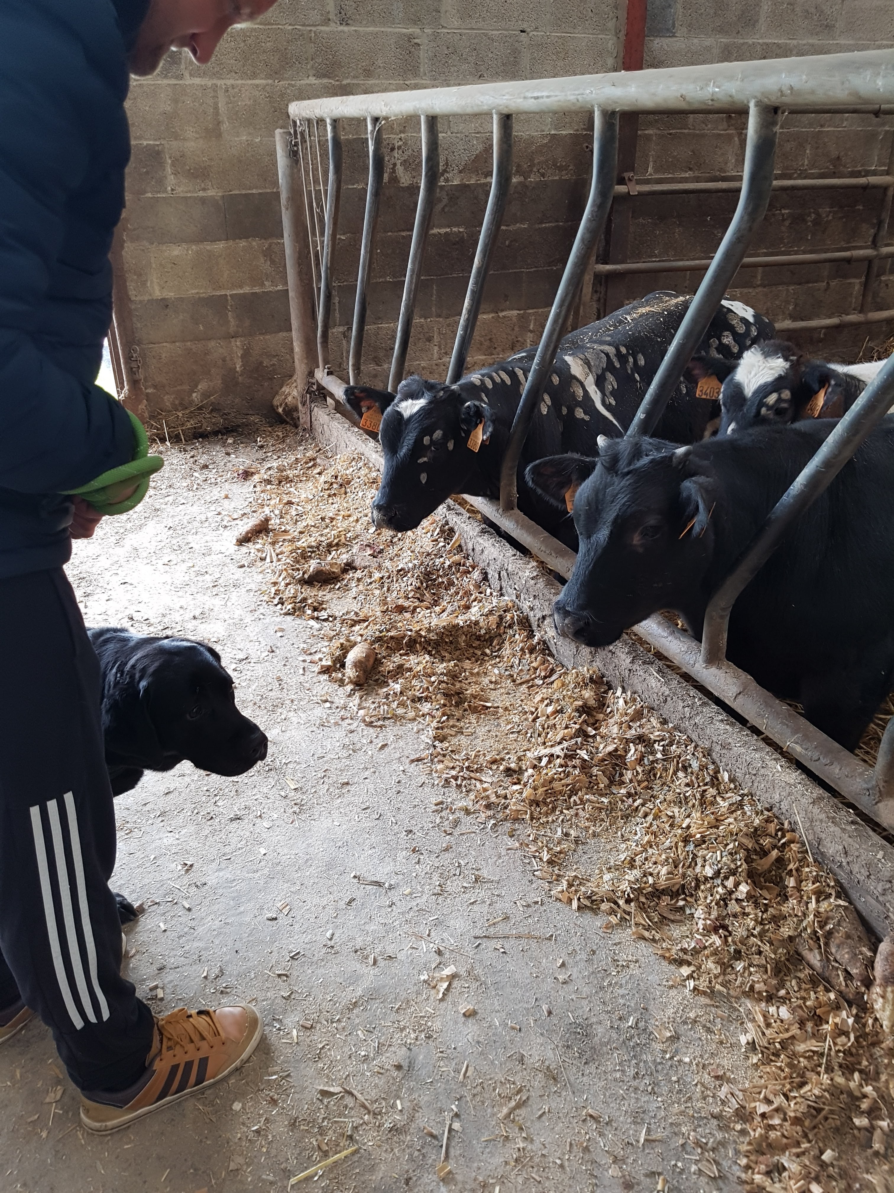 Photo n° 28 de l'avis de Alicia.P fait le 28/04/2019 à 13:27