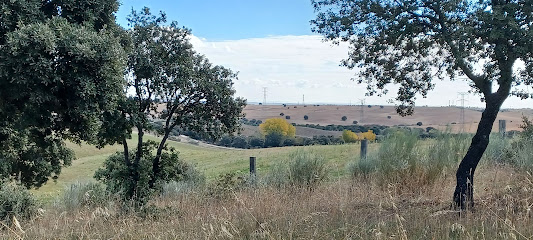 Zona de senderismo – Cordel de los Tapias de las Viñuelas – La Acebeda