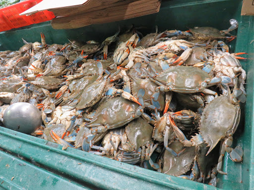 Grocery Store «Park To Shop Supermarket (Hong Kong Market)», reviews and photos, 2425 S Wallace St, Chicago, IL 60616, USA