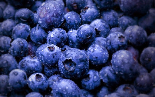 Vineyard «Vermilion Valley Vineyards», reviews and photos, 11005 Gore Orphanage Rd, Wakeman, OH 44889, USA