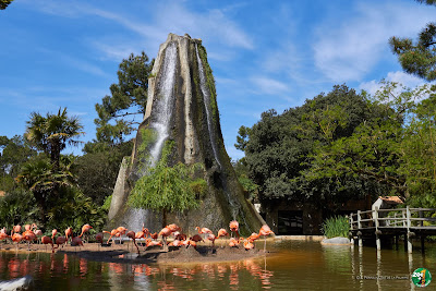 Zoo de La Palmyre à Les Mathes