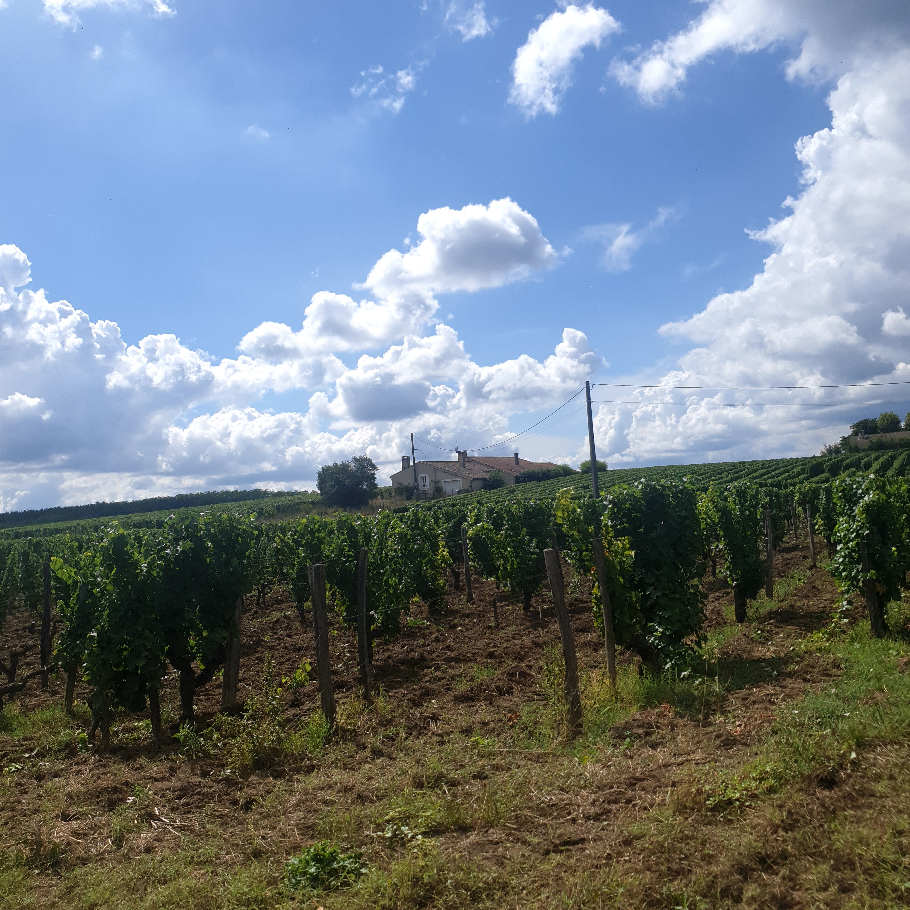 Photo n° 13 de l'avis de Gianmaria.a fait le 21/08/2022 à 06:28