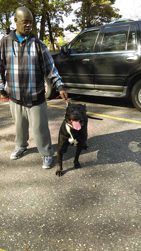 Park «Lions Coon Creek Park», reviews and photos, 1664 119th Ave NW, Coon Rapids, MN 55433, USA