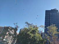 Cypress Laundromat - Photo 7 - Car repair in Ridgewood, NY, New York