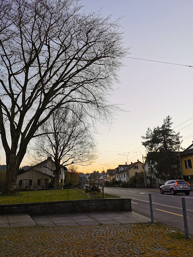 Sigrist an der Zwinglikirche - Winterthur