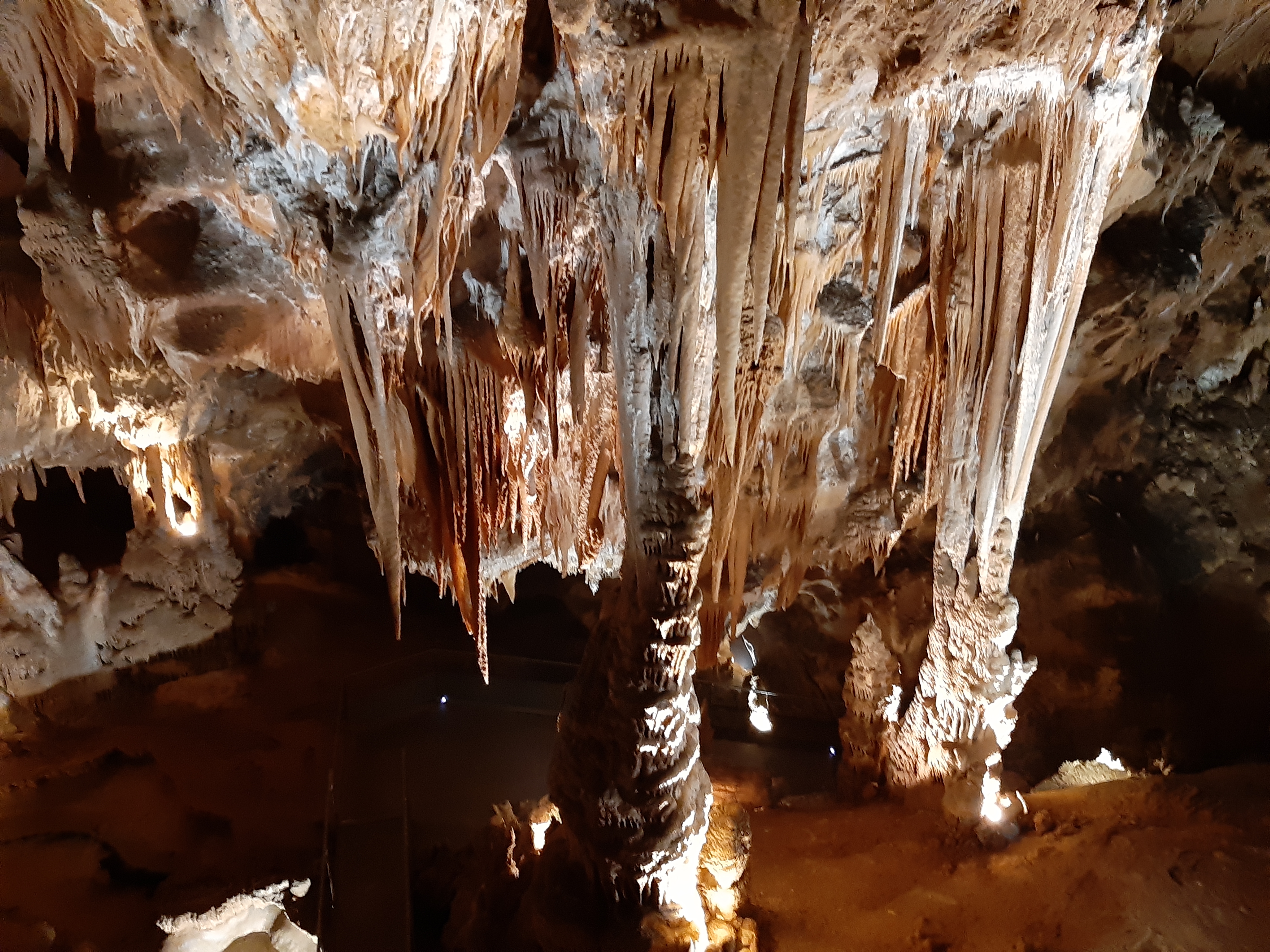 Photo n° 10 de l'avis de Guigeek_22. fait le 24/07/2019 à 17:34