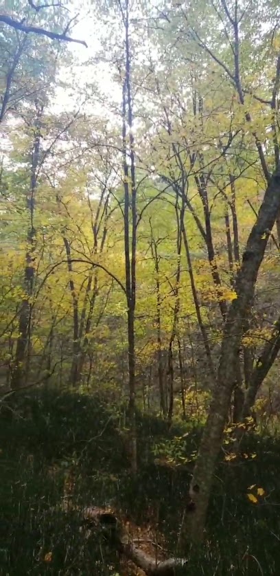 Lawrence Creek Scientific and Natural Area (SNA) Parking Area