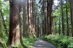 Myoko-Togakushi Renzan National Park image