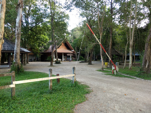 Park Campsite