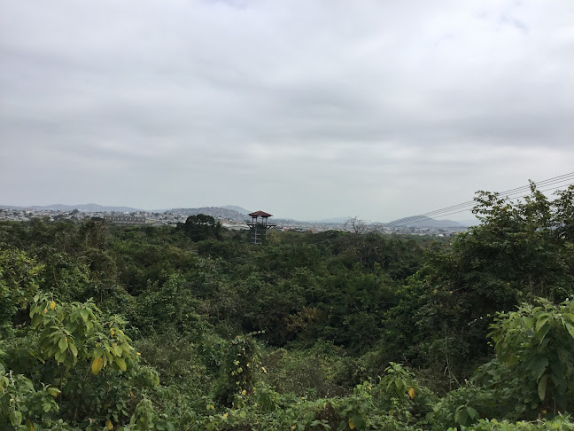 Opiniones de Zona de Reserva Forestal - Senderos en Guayaquil - Camping
