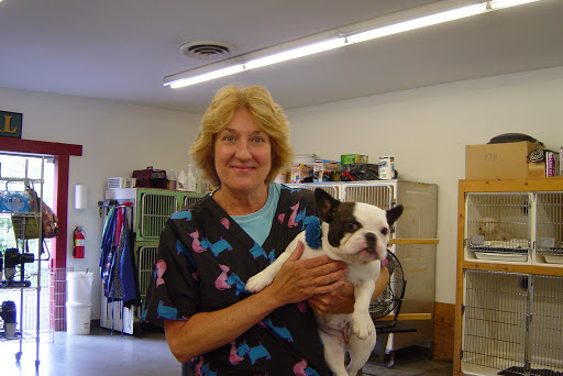 Pet Groomer «My Pal Pet Supplies & Grooming», reviews and photos, 817 W Napa St, Sonoma, CA 95476, USA