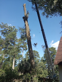 Fielder Tree Service - Photo 6 - Car repair in Tallahassee, FL, Tallahassee