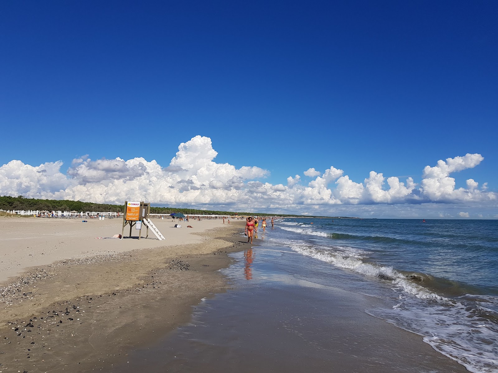 Zdjęcie Marina Romea Beach z poziomem czystości wysoki