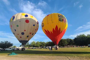 Firelake Fireflight Balloon Festival image