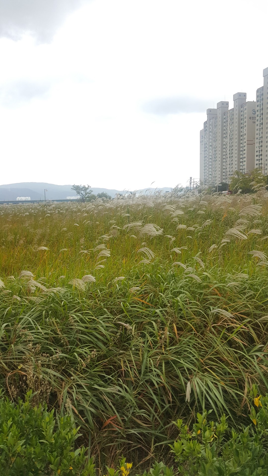 세양청구마을아파트 관리실