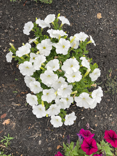 Park «Fox Point State Park», reviews and photos, Hay Road, Wilmington, DE 19809, USA