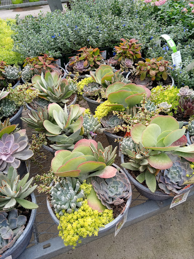 Home Improvement Store «The Home Depot», reviews and photos, 750 N University Dr, Coral Springs, FL 33071, USA