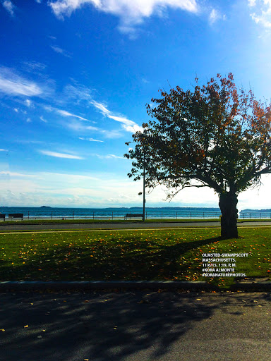 Water Sports Equipment Rental Service «Ocean House Surf & Skate», reviews and photos, 128 Humphrey St, Swampscott, MA 01907, USA