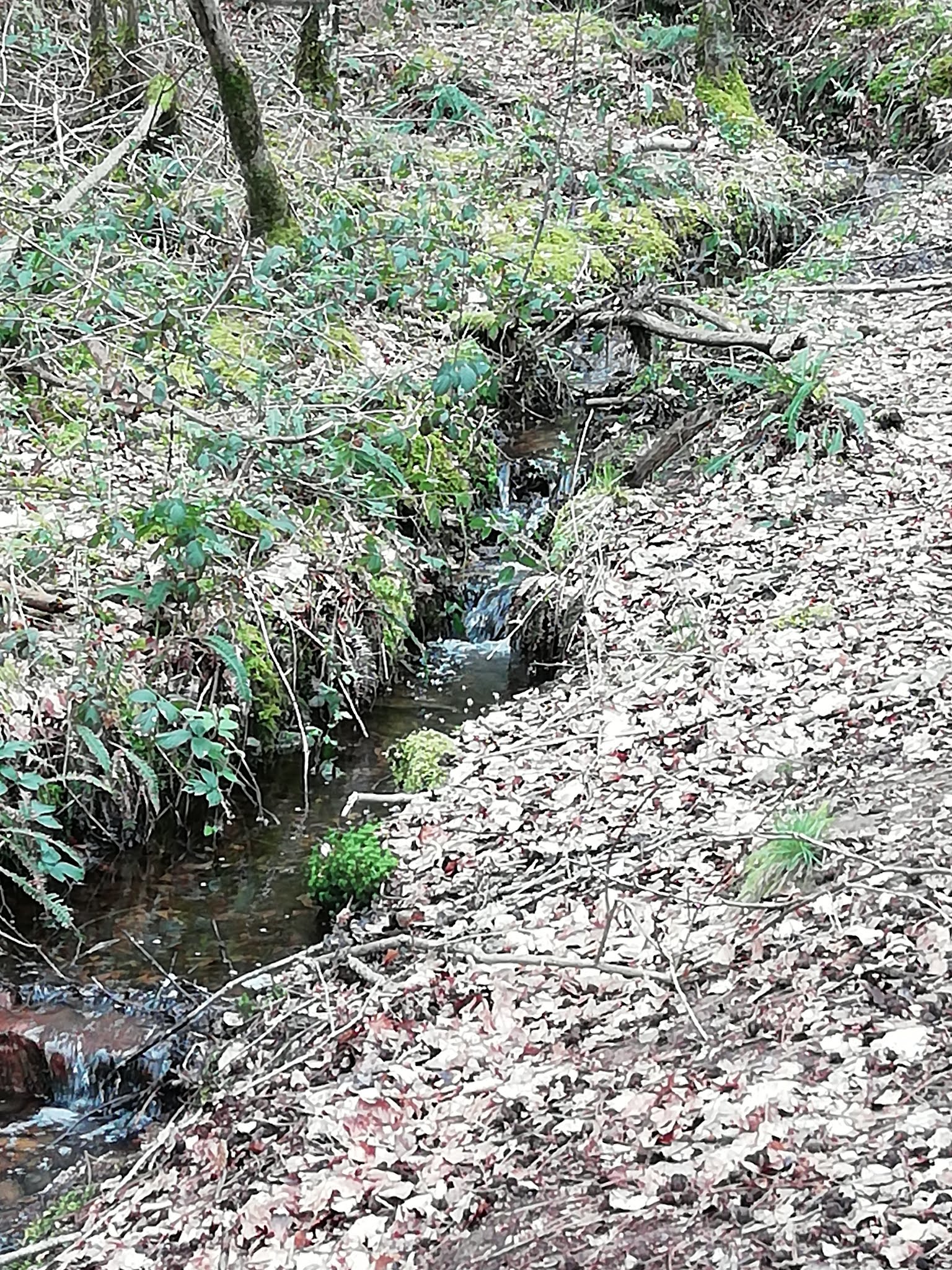 Photo n° 6 de l'avis de Wlady.a fait le 07/04/2019 à 16:14