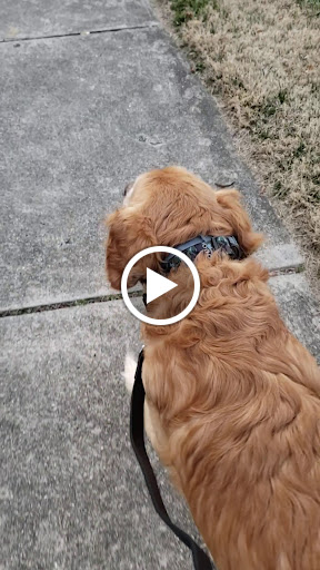 Pet Supply Store «PetSmart», reviews and photos, 157 Levittown Pkwy B, Levittown, PA 19055, USA