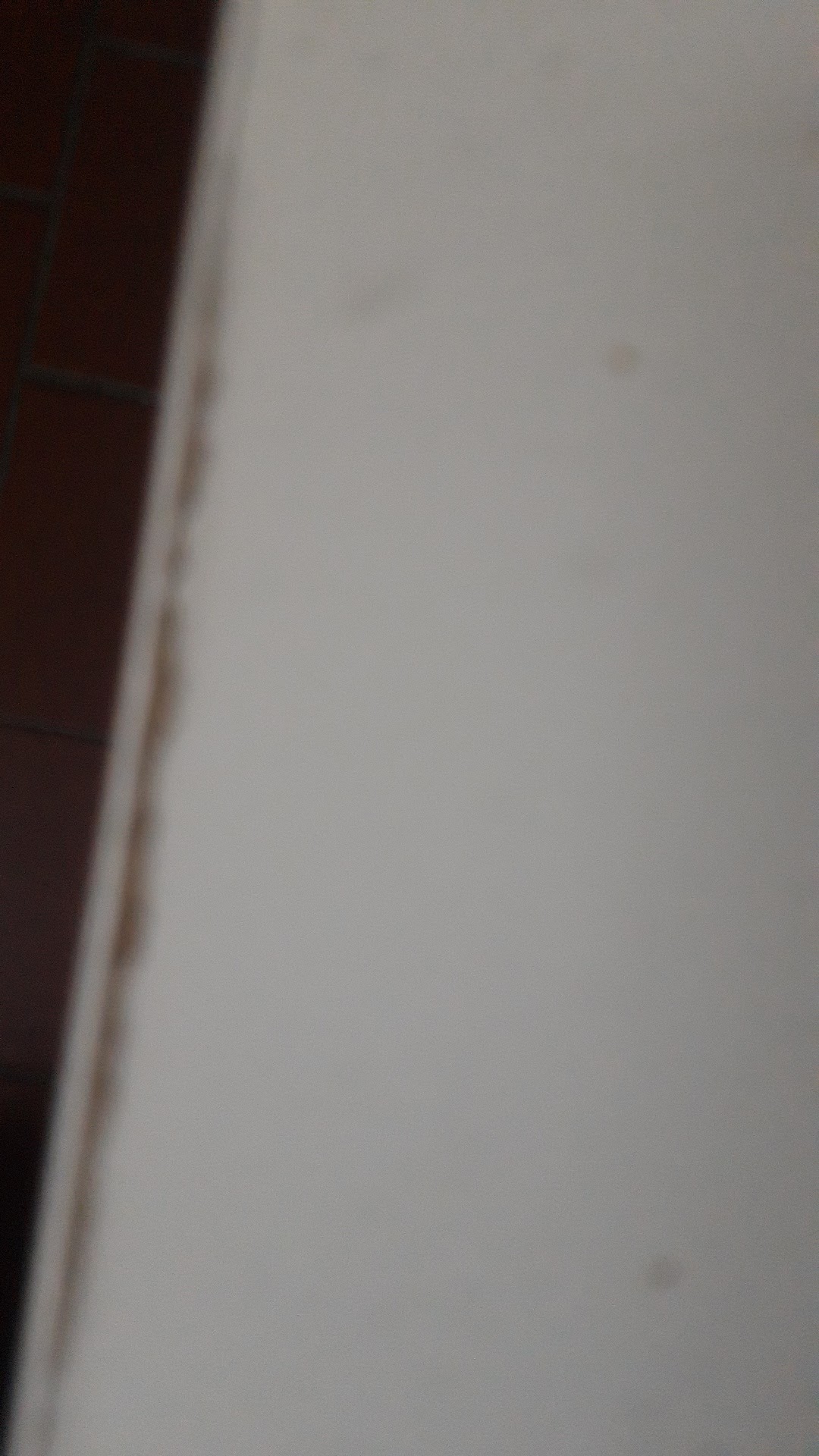 Photo n° 1 de l'avis de KAMELIA.A fait le 19/02/2019 à 16:57