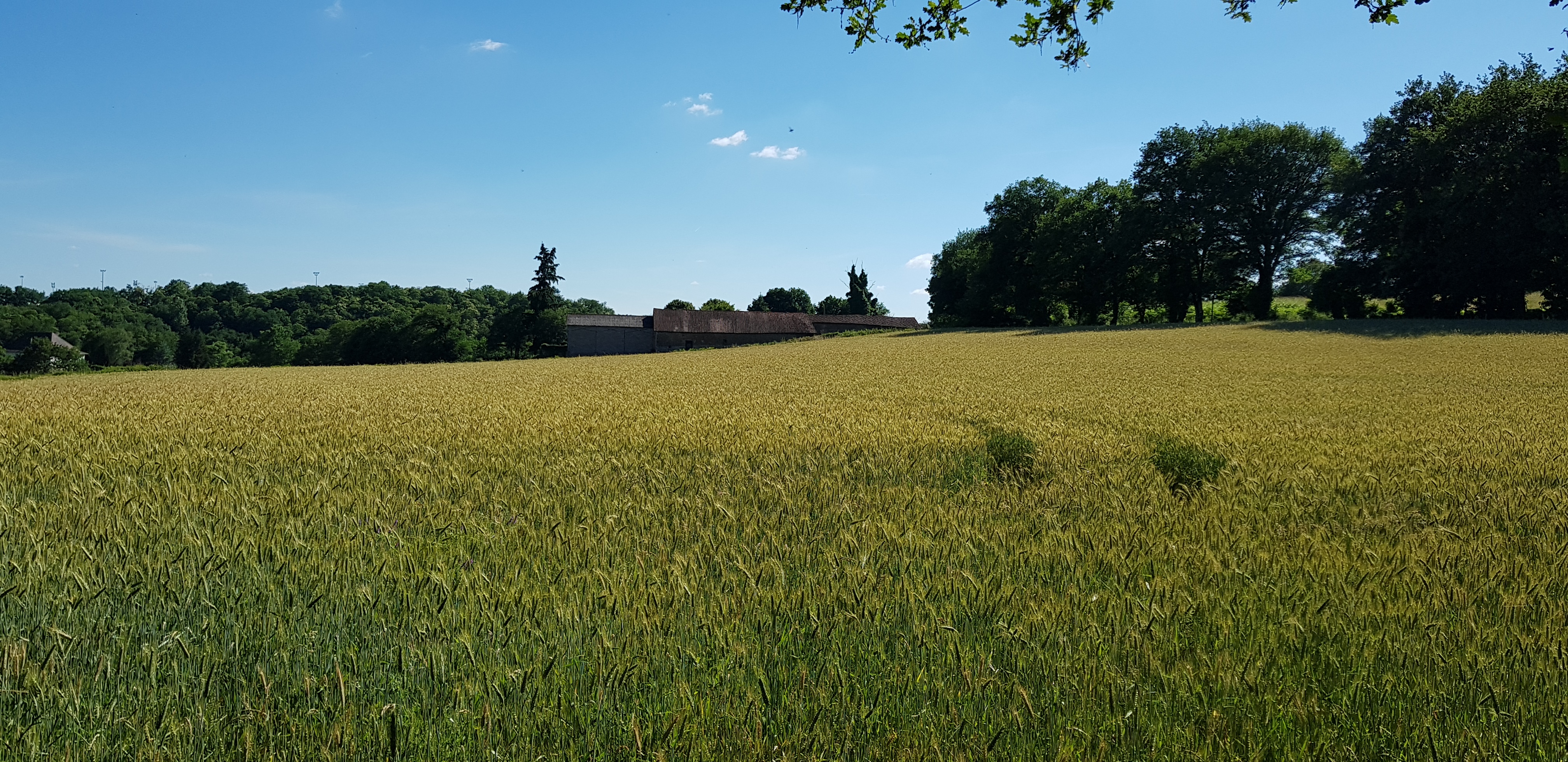 Photo n° 3 de l'avis de Raphael.r fait le 22/06/2018 à 18:50