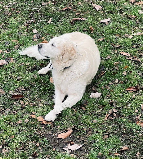 Pet Supply Store «EarthWise Pet Supply & Grooming», reviews and photos, 245 Fries Mill Rd, Blackwood, NJ 08012, USA