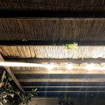 Photo n°5 de l'avis de Anchise.i fait le 03/08/2020 à 21:43 sur le  La Cereria à Pisa