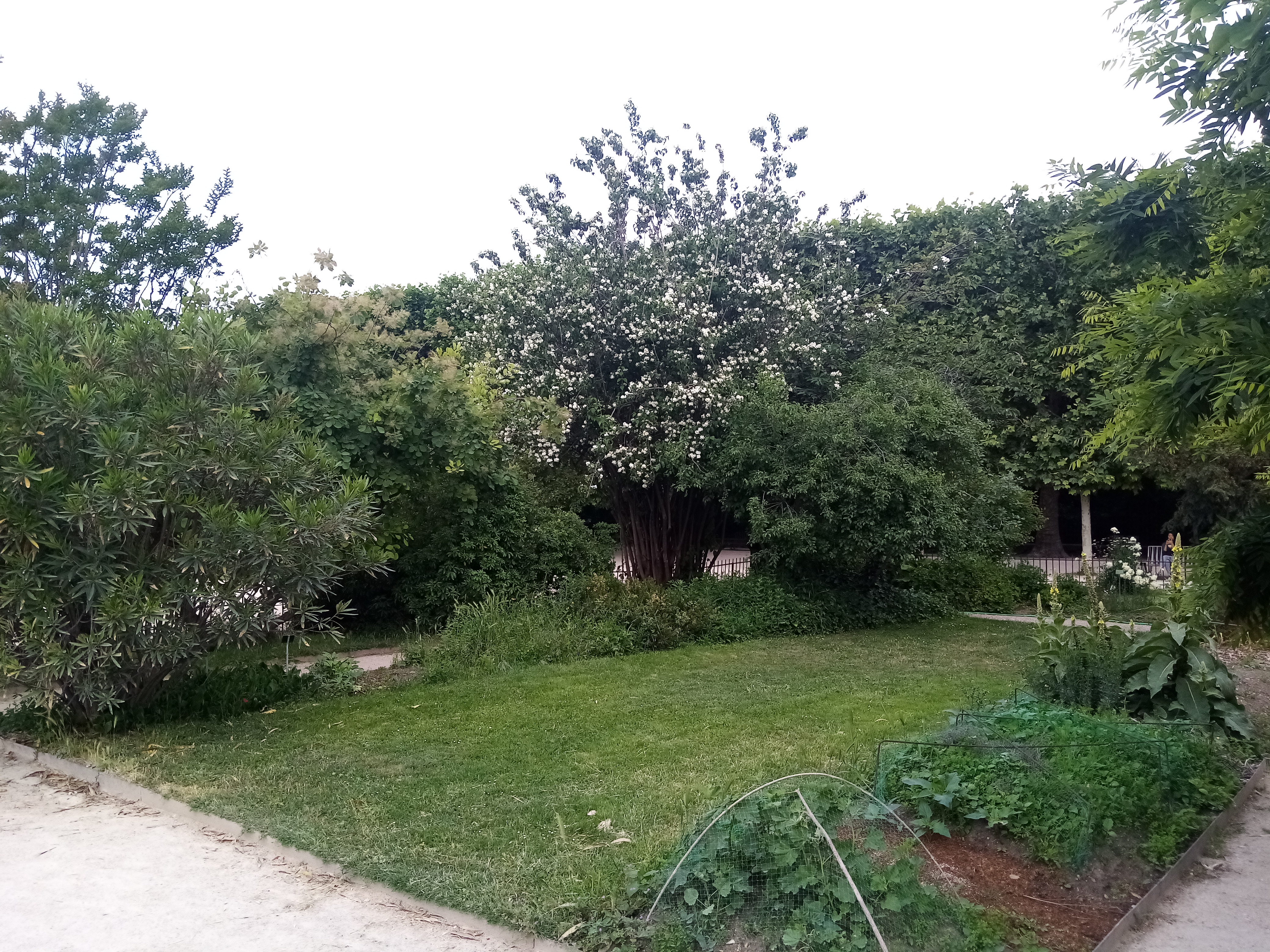 Photo n° 14 de l'avis de Mykola.a fait le 22/05/2022 à 18:49