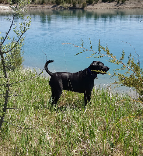 Fostoria Animal Clinic image