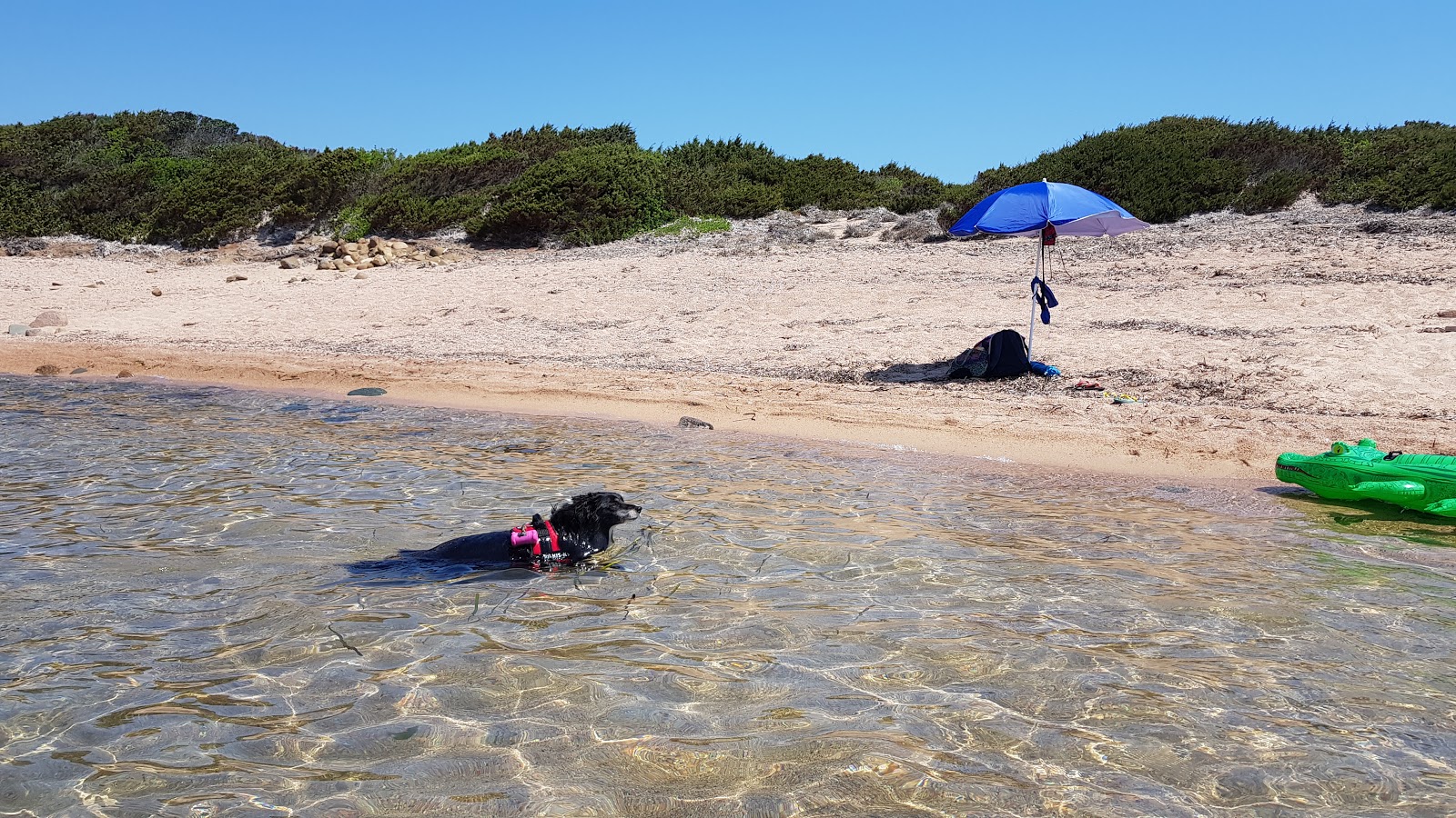 Zdjęcie La Testa beach VI z powierzchnią turkusowa czysta woda