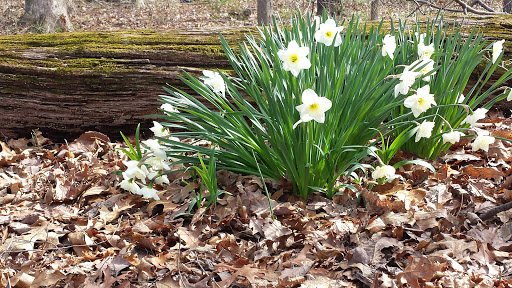 Golf Course «Reston National Golf Course», reviews and photos, 11875 Sunrise Valley Dr, Reston, VA 20191, USA