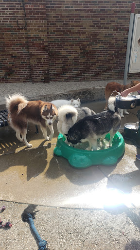 Dog Park «Portage Dog Friendly Area», reviews and photos, 4100 N Long Ave, Chicago, IL 60641, USA