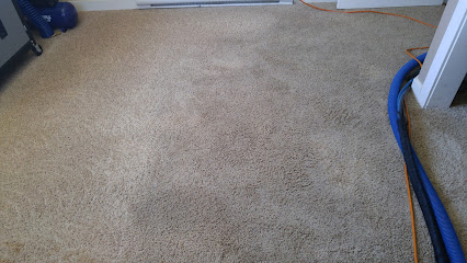 The Best Carpet Cleaning Kelowna - Professional Upholstery & Area Rug Cleaning Services