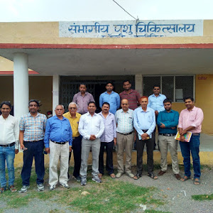 Veterinary Hospital Rewa (mp) photo