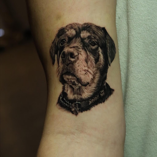 Find shark tattoo ideas for your next unique tattoo in Montgomery at Flying Eye Tattoo Studio