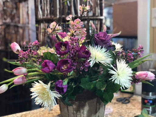 Plant Nursery «Potomac Petals and Plants», reviews and photos, 9545 River Rd, Rockville, MD 20854, USA