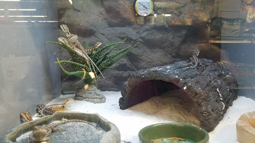 Pet Supply Store «Petco Animal Supplies», reviews and photos, 1111 US-46, Parsippany, NJ 07054, USA