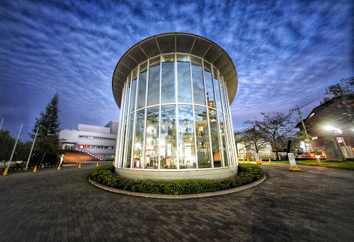 Nihon University College of Art