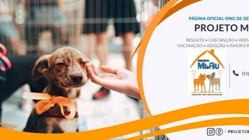 NGO MIAU Project em Guarulhos - SP