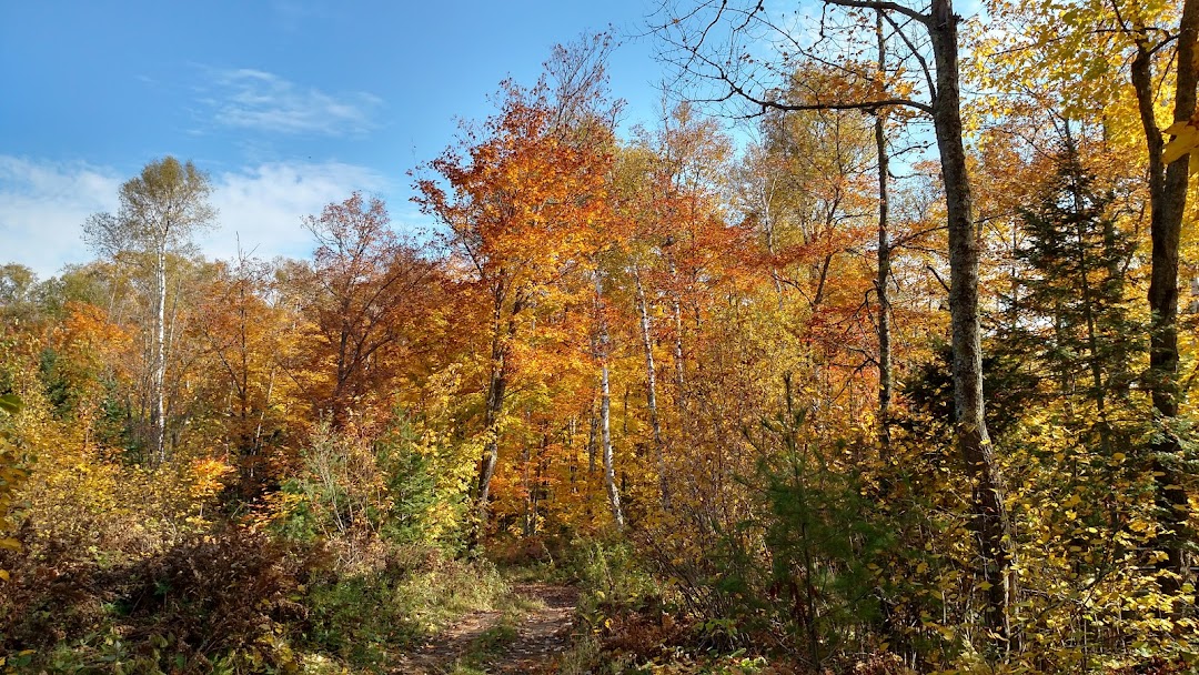 Biskey Ponds Nordic Ski Trails