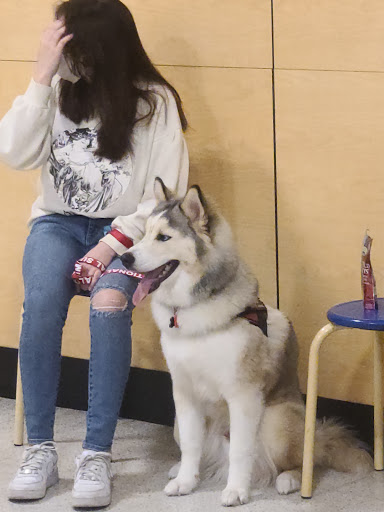 Pet Supply Store «PetSmart», reviews and photos, 261 Spreckels Ave, Manteca, CA 95336, USA