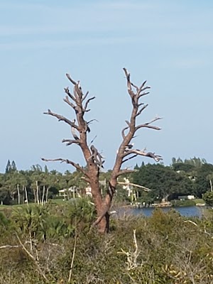 Hobe Sound Nature Center - photo 60