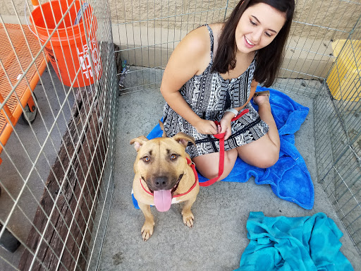 Pet Supply Store «PetSmart», reviews and photos, 1370 Dogwood Dr SE, Conyers, GA 30013, USA