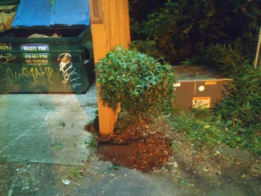 Grocery Store «Hopey and Co.», reviews and photos, 45 S French Broad Ave, Asheville, NC 28801, USA